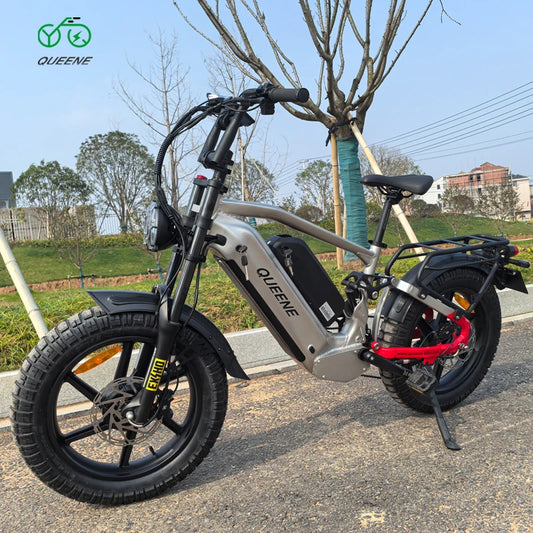 Riding'Times All Terrain Electric Dirt Bike 2000W Electric Bicycle Bicicleta Electric E-Bike Ebike